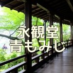 京都で青もみじや苔が撮れる撮影スポット　永観堂