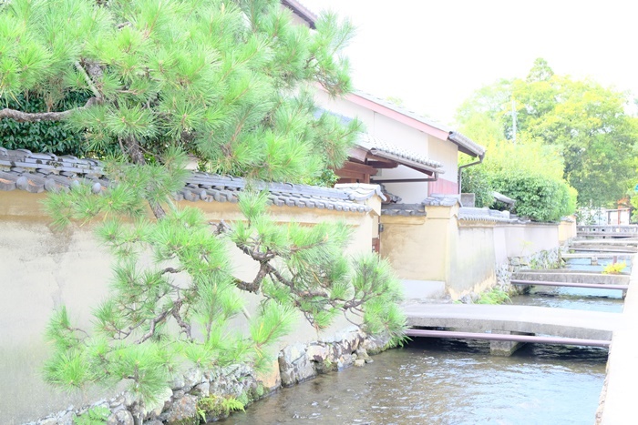 フォトジェニックな上賀茂神社の社家町