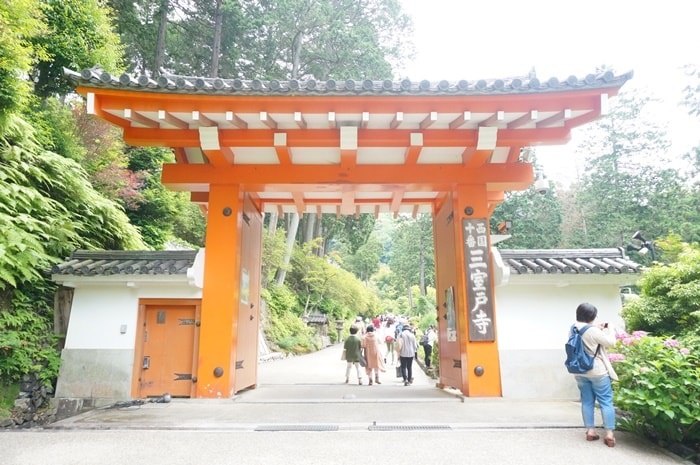 京都の紫陽花撮影スポット三室戸寺