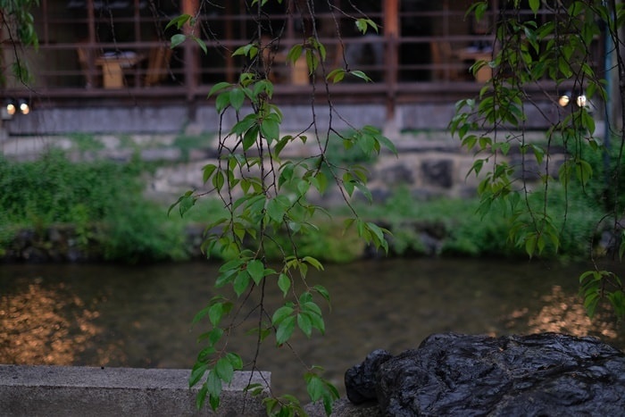 祇園白川の撮影スポット