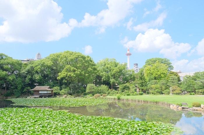 京都タワー撮影スポット（渉成園蓮池）