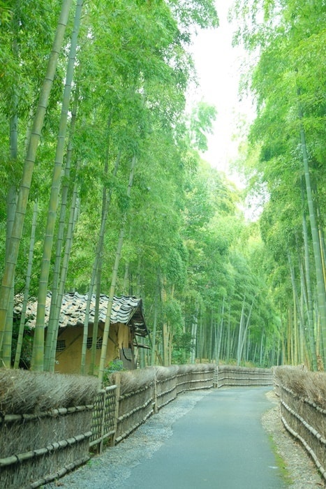 竹の径の撮影スポット