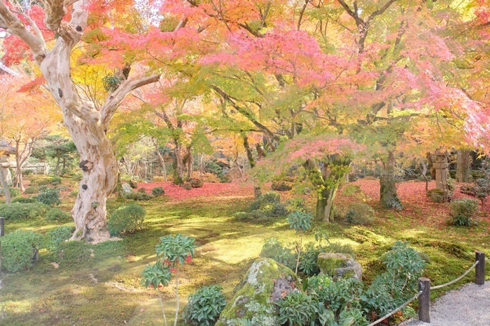 フォトジェニックな圓光寺の紅葉の撮影スポット