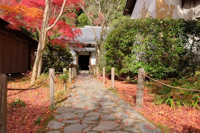 蓮華寺のフォトジェニックな紅葉撮影スポット