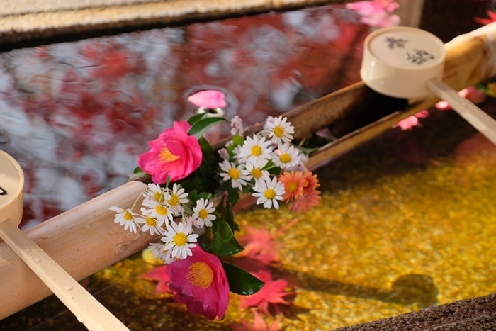 花手水 かわいい京都