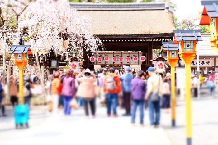 平野神社　桜の時期の混雑