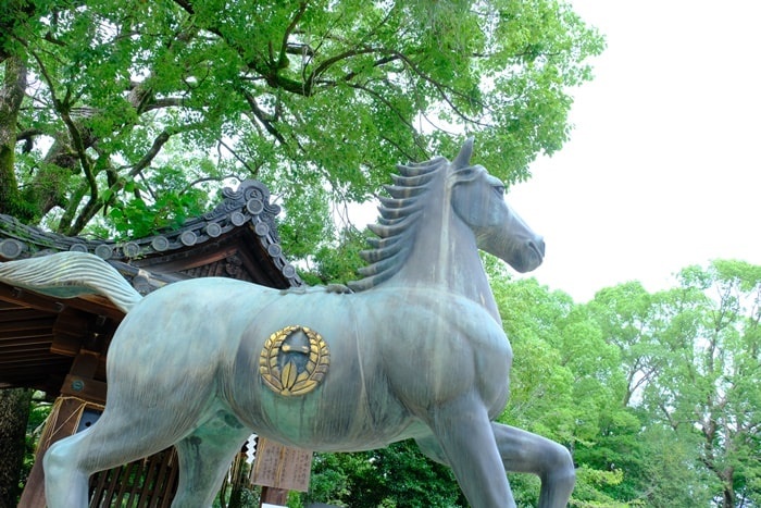 藤森神社の馬